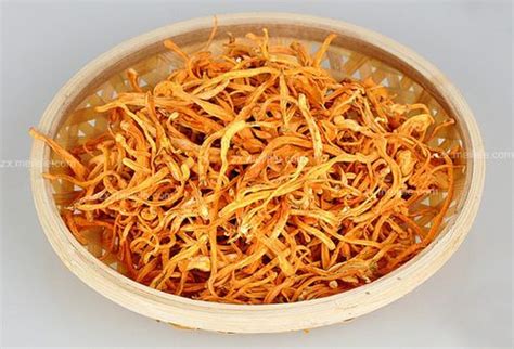 虫草花怎么吃最好