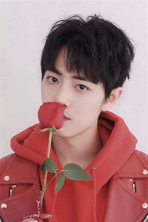 肖战百度百科送花入口(百度送花在哪里送链接)