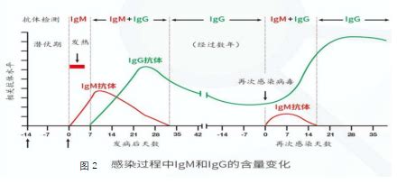 抗原检测和核酸检测的准确率是多少?抗原检测结果一定准吗?