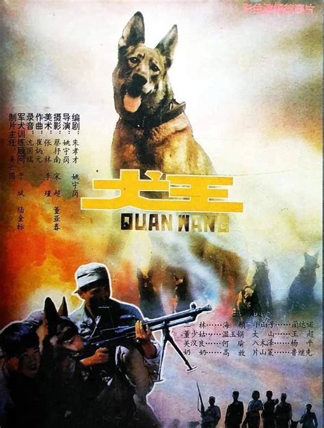 姚守岗现状 军犬事件后续如何