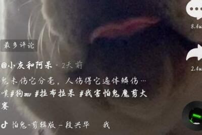 我害怕鬼鬼却未伤我分毫什么歌 起底该歌曲由来竟如此上头