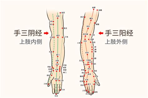 6条人体手上经络图,刮一刮手指就有全身保健的效果