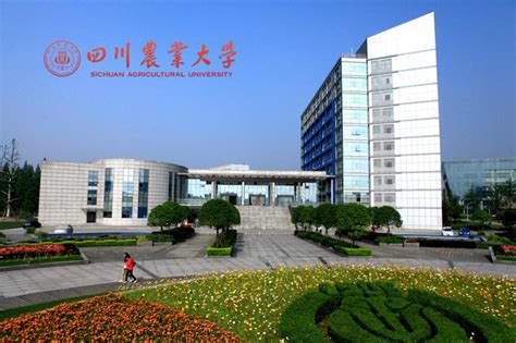 四川农业大学专科有哪些专业 四川农业大学的专科有哪些专业