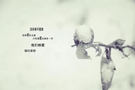 形容失望和心凉的诗句(对人失望的诗句七言绝句)