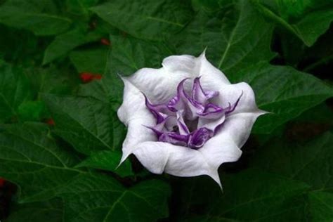 ϵһ ޻(24Сʱ