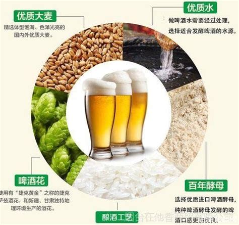 啤酒洗脸的功效与作用