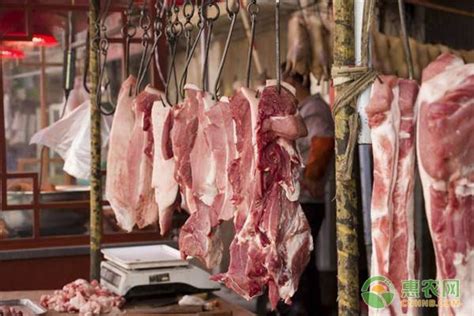 隔山肉是哪个部位 猪肉隔山肉是哪个部位
