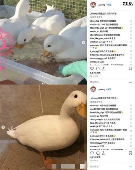 ˼Ѽ ѼС