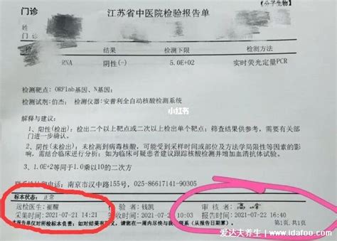 48小时查不到核酸检测结果,5天了还查不到结果怎么办(默认为阴性