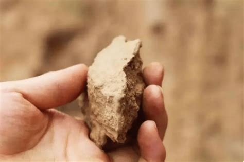 科学家证明吃“土”可治疗肠炎 这一研究成果实在令人震惊