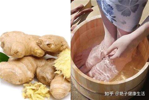 ������ˮ�ݽ����ⶾ������������ʺ��ݽ�