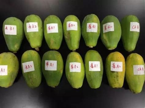 ��β��ܿ��ٴ���ľ�ϣ����������ٴ���ľ�ϵķ�����