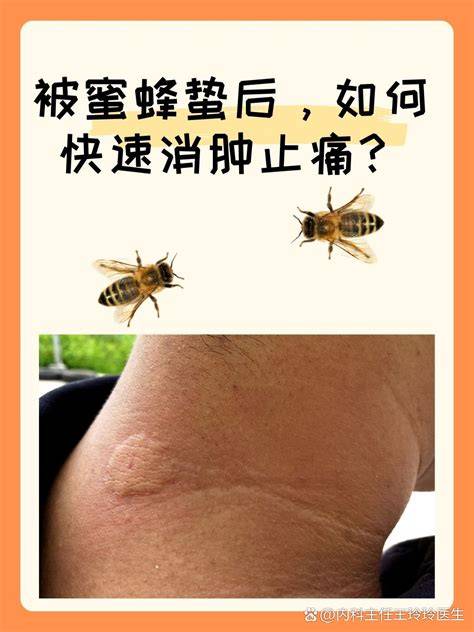 �۷�������ô����ֹ��