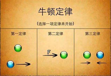 ţ�������ɷֱ�����������ţ��