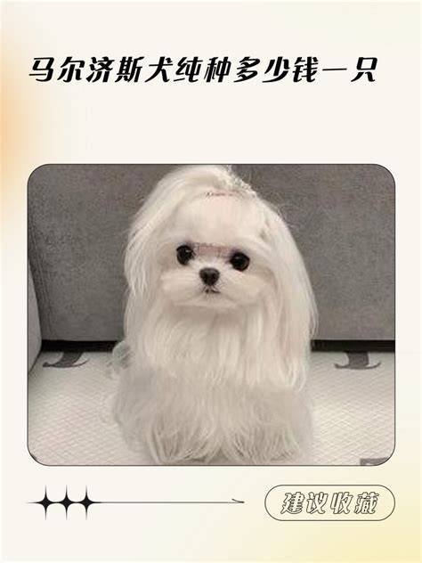 ������˹Ȯ����Ǯ��1000Ԫ���ң�